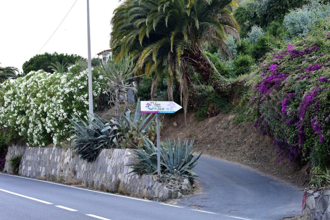 Agriturismo Un Mare Di Fiori Villa Ventimiglia Luaran gambar